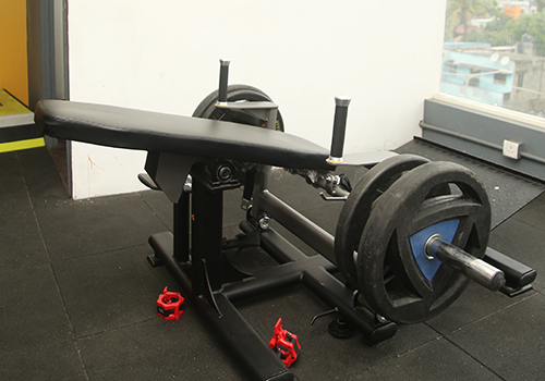 Weight Training Section
