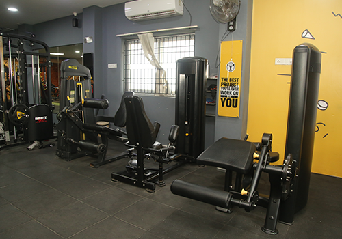 Weight Training Section