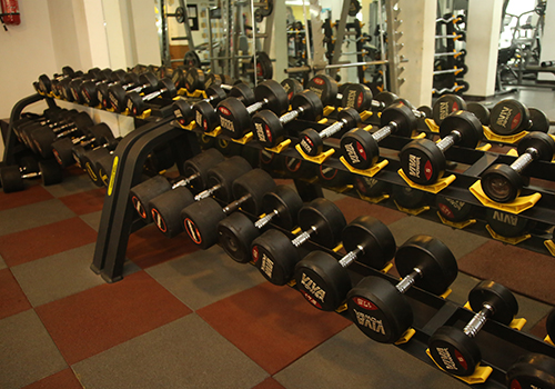 Weight Training Section